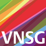 VNSG logo